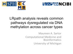 LRpath analysis reveals common pathways dysregulated via DNA methylation across cancer types