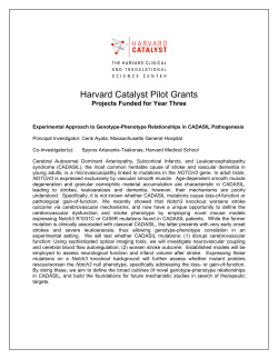 Harvard Catalyst Pilot Grants Projects Funded for Year Three