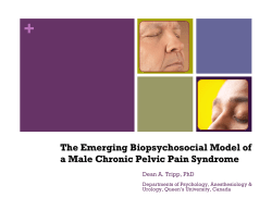 + The Emerging Biopsychosocial Model of a Male Chronic Pelvic Pain Syndrome