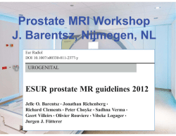 Prostate MRI Workshop J. Barentsz, Nijmegen, NL 㻌