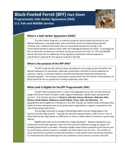 Black-Footed Ferret (BFF) Fact Sheet Programmatic Safe Harbor Agreement (SHA)