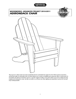 aDiROnDacK chaiR WOODWORKS: aDvanceD pROject 2010-2011