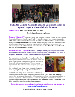 Cubs for Coping hosts its second volunteer event to