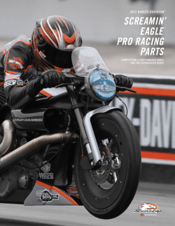 screamin’ eagle pro racing parts