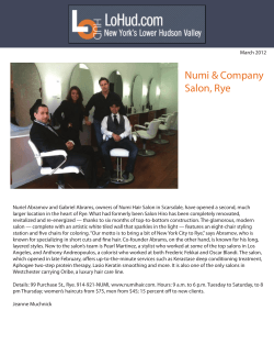 Numi &amp; Company Salon, Rye