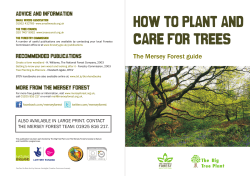 HOW TO PLANT AND CARE FOR TREES The Mersey Forest guide