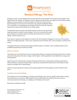 Mustard Allergy: The facts