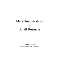 Marketing Strategy for Small Business Knud B. Jensen