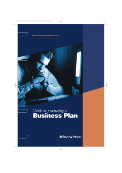 Business Plan Guide to producing a e Ernst &amp; Young Entrepreneurial Services