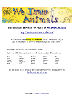 y We Draw Animals  freely re-distribute