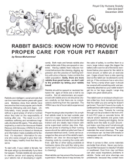 RABBIT BASICS: KNOW HOW TO PROVIDE Royal City Humane Society 604-524-6447