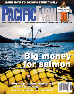 Big money for salmon