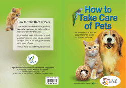 How to Take Care of  Pets