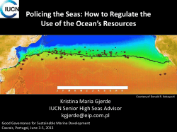 Policing the Seas: How to Regulate the Kristina Maria Gjerde