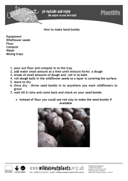 How to make Seed bombs  Equipment Wildflower seeds