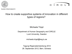 How to create supportive systems of innovation in different Michaela Trippl