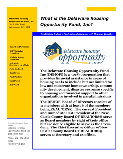 What is the Delaware Housing Opportunity Fund, Inc?