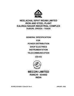 NEELACHAL ISPAT NIGAM LIMITED IRON AND STEEL PLANT KALINGA NAGAR INDUSTRIAL COMPLEX