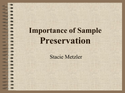 Preservation Importance of Sample Stacie Metzler