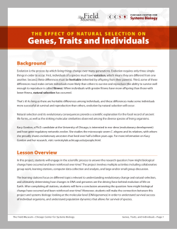 Genes, Traits and Individuals  Background t h e