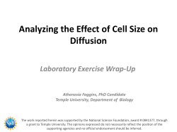 Analyzing the Effect of Cell Size on Diffusion Laboratory Exercise Wrap-Up