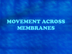 MOVEMENT ACROSS MEMBRANES