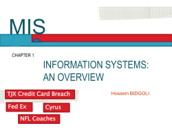 MIS INFORMATION SYSTEMS: AN OVERVIEW TJX Credit Card Breach