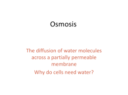 Osmosis The diffusion of water molecules across a partially permeable membrane
