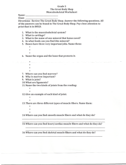 Grade 5 The Great Body Shop Musculoskeletal Worksheet Name