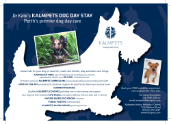 Dr Kate's KALMPETS DOG DAY STAY