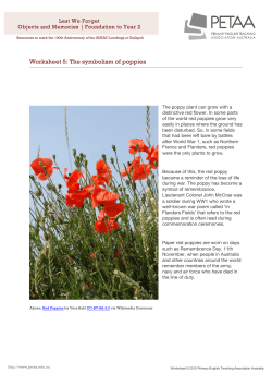 Unit 1 worksheet 5: symbolism of poppies