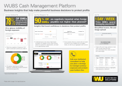 WUBS Cash Management Platform