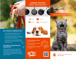your pet license