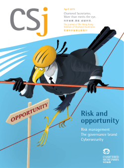 Risk and opportunity - CSJ Magazine