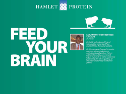 Control - Hamlet Protein