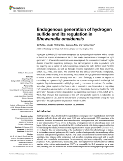 Endogenous generation of hydrogen sulfide and its