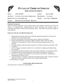 Youth Culture Coordinator Job Announcement
