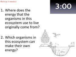1. Where does the energy that the organisms in