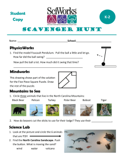 Museum Scavenger Hunt Activity Sheet