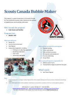 Cub Scout Bubble Maker Program