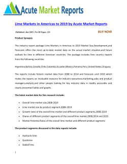 Lime Markets in Americas to 2019