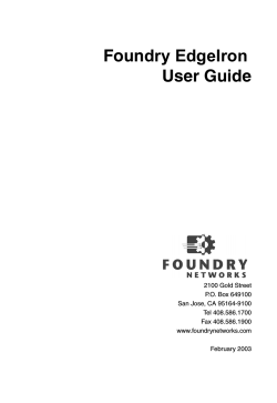 Foundry EdgeIron User Guide