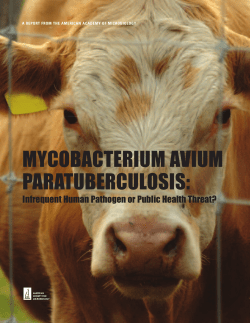 MYCOBACTERIUM AVIUM PARATUBERCULOSIS: Infrequent Human Pathogen or Public Health Threat?