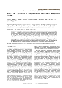 Design and Application of Magnetic-Based Theranostic Nanoparticle Systems