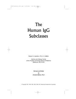 The Human IgG Subclasses