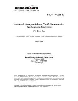 Anisotropic Hexagonal Boron Nitride Nanomaterials - Synthesis and Applications BNL-81439-2008-BC Wei-Qiang Han