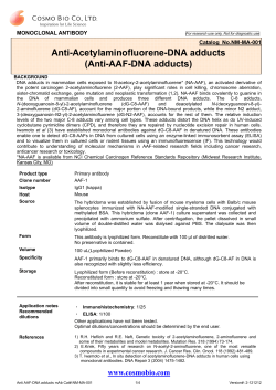 Anti-Acetylaminofluorene-DNA adducts (Anti-AAF-DNA adducts) MONOCLONAL ANTIBODY