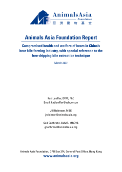 Animals Asia Foundation Report