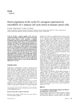Down-regulation of the cyclin E1 oncogene expression by