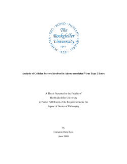 A Thesis Presented to the Faculty of The Rockefeller University